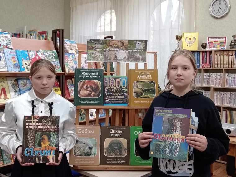 Книжная выставка.